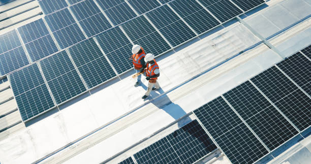 Best Roof Moss and Algae Removal  in Llano Grande, TX