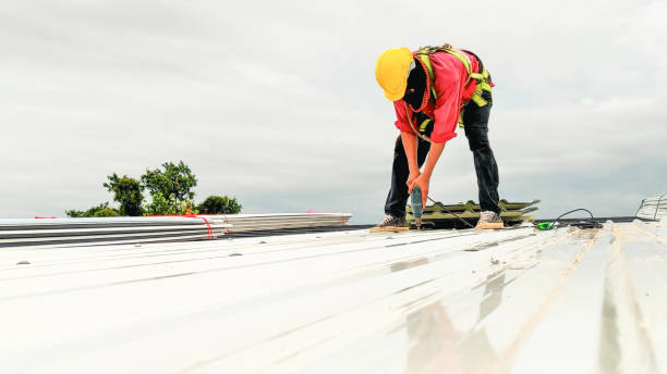 Best Rubber Roofing (EPDM, TPO)  in Llano Grande, TX